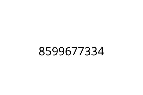 8599677334
