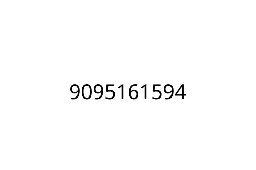 9095161594