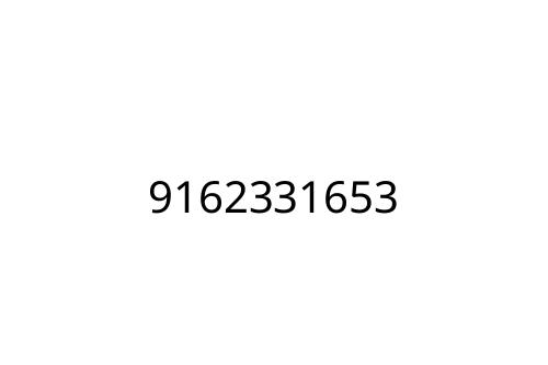9162331653