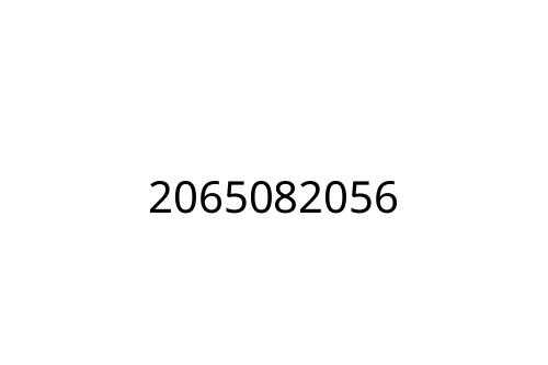2065082056