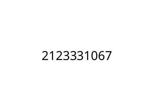 2123331067