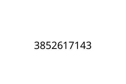 3852617143
