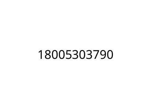 18005303790
