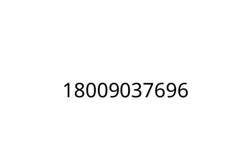 18009037696
