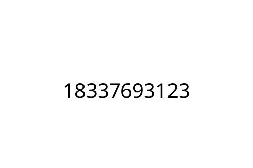 18337693123