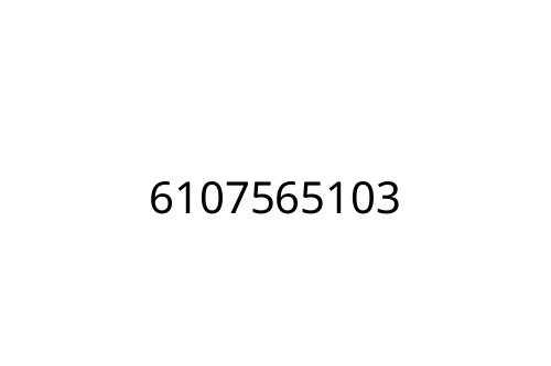 6107565103