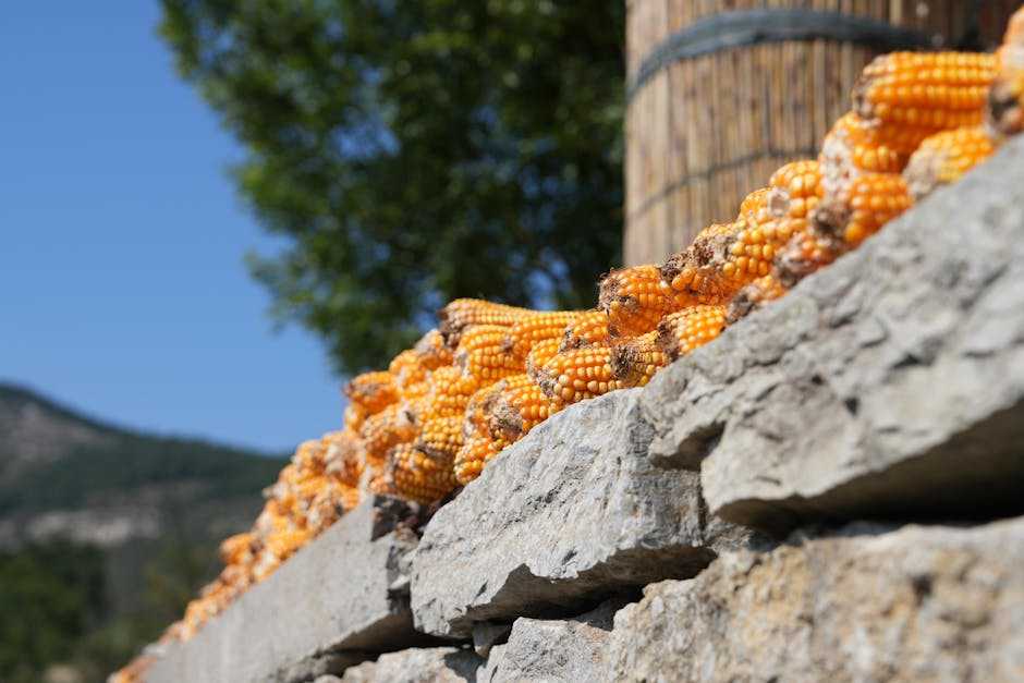 sustainability mandate