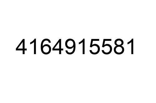 4164915581