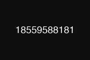18559588181