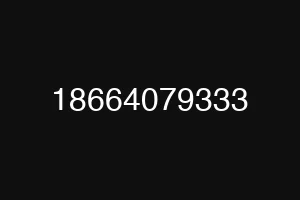 18664079333