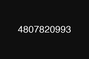 4807820993