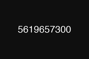 5619657300
