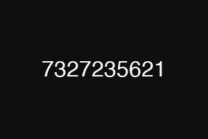 7327235621