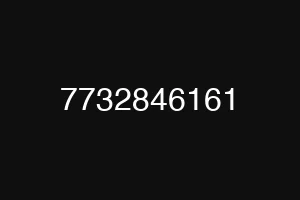 7732846161