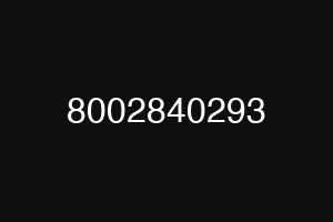 8002840293