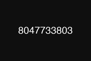 8047733803