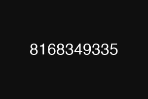 8168349335