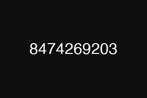 8474269203
