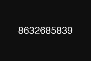 8632685839