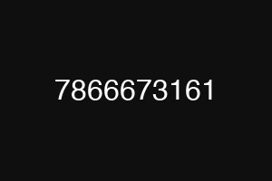 7866673161
