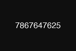7867647625