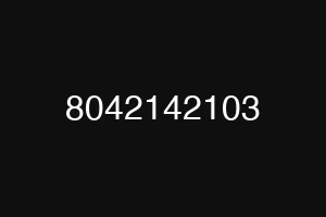 8042142103