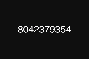 8042379354