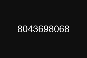 8043698068