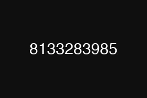 8133283985