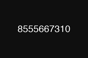 8555667310