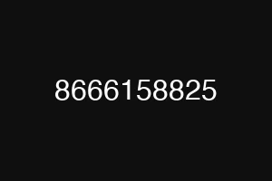 8666158825